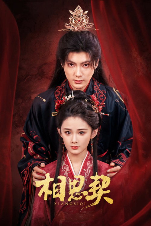 Xiang Si Qi poster