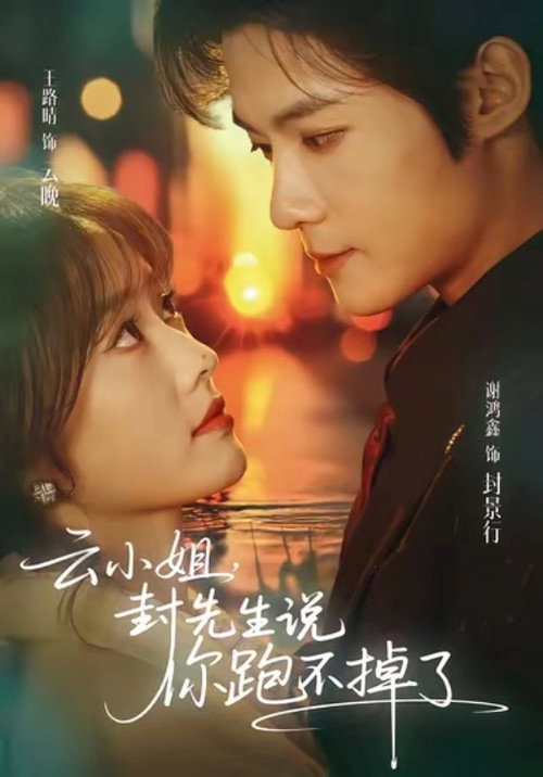 云小姐,封先生说你跑不掉了 poster