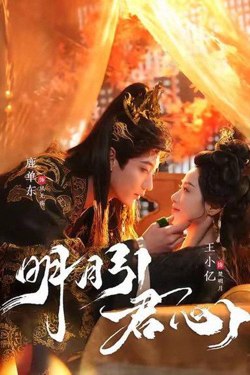 明月引君心 poster