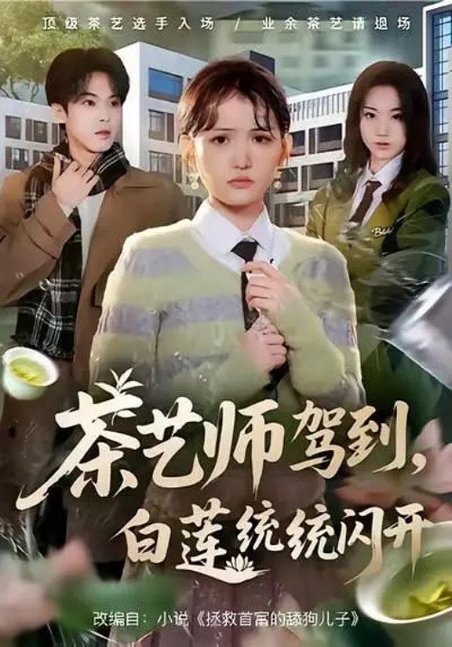茶艺师驾到,白莲统统闪开 poster