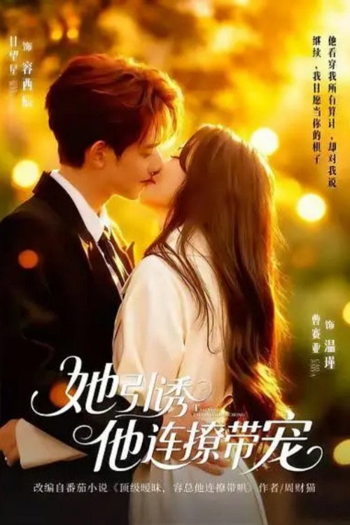 她引诱他连撩带宠 poster