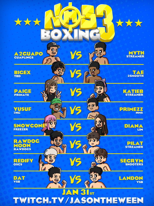 NMS Boxing poster