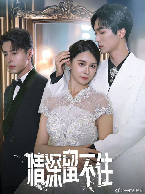 情深留不住 poster