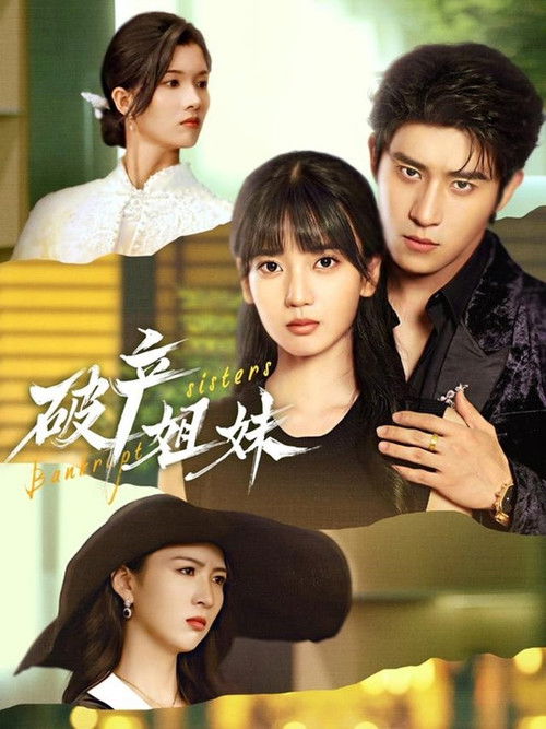 破产姊妹 poster