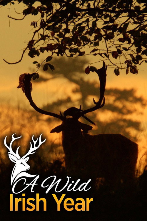 A Wild Irish Year poster