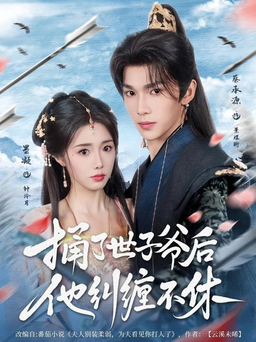 捅了世子爷后他纠缠不休 poster