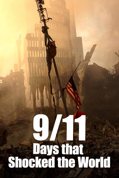 9/11: Days That Shocked the World poster