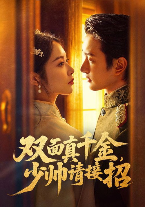 双面真千金,少帅请接招 poster