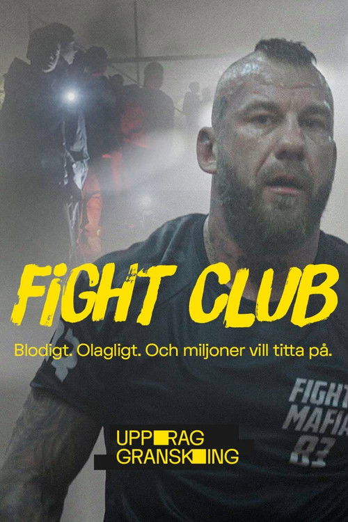Uppdrag granskning: Fight club poster
