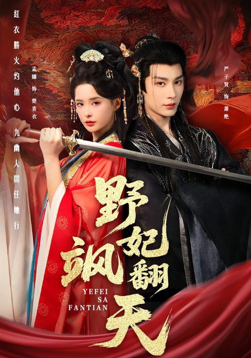 野妃飒翻天 poster