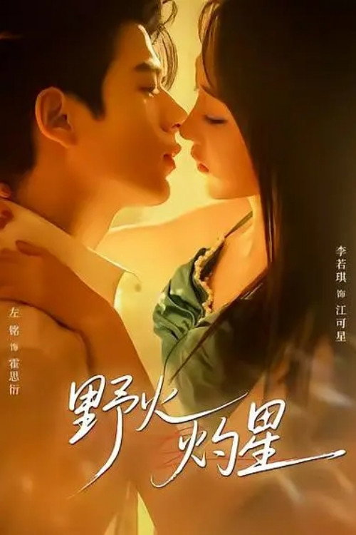 野火灼星 poster