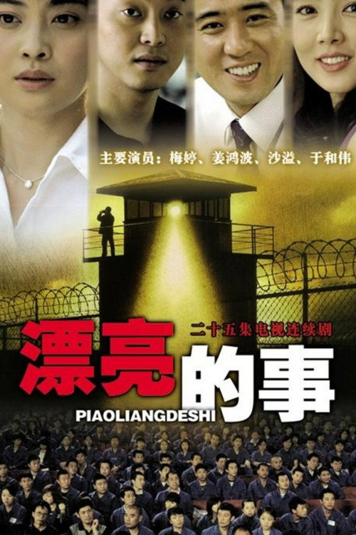 漂亮的事 poster