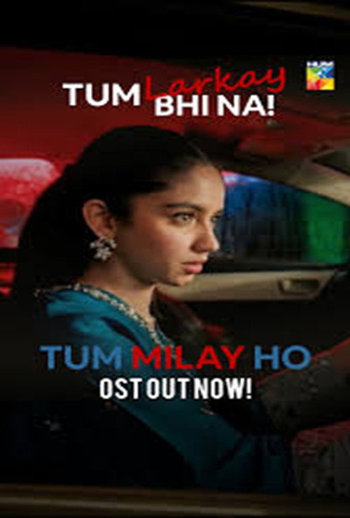 Tum Milay Ho poster