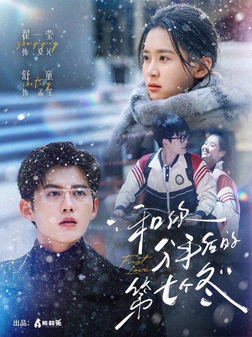 和你分手后的第七个冬 poster
