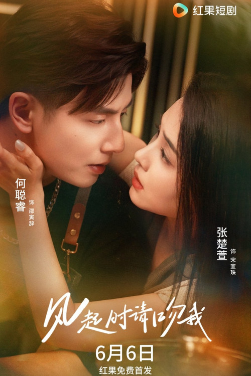 风起时请吻我 poster