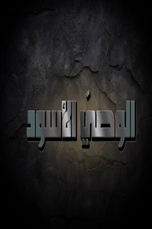 الوصي الاسود poster
