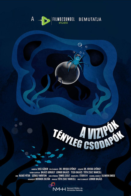 A vízipók tényleg csodapók poster