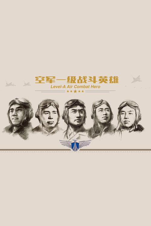 空军一级战斗英雄 poster