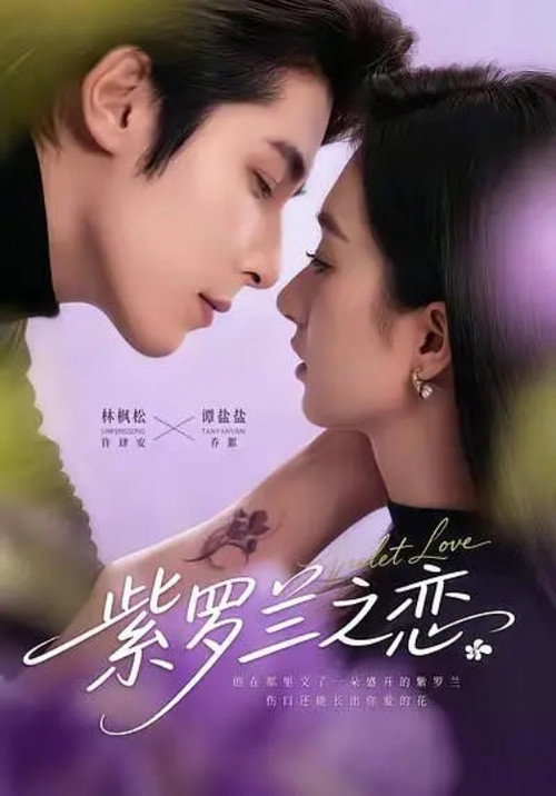 紫罗兰之恋 poster