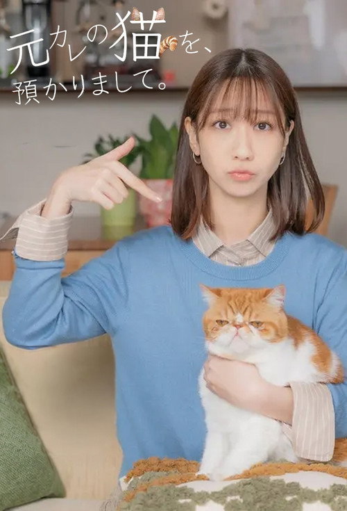 I’m Taking Care of My Ex’s Cat. poster