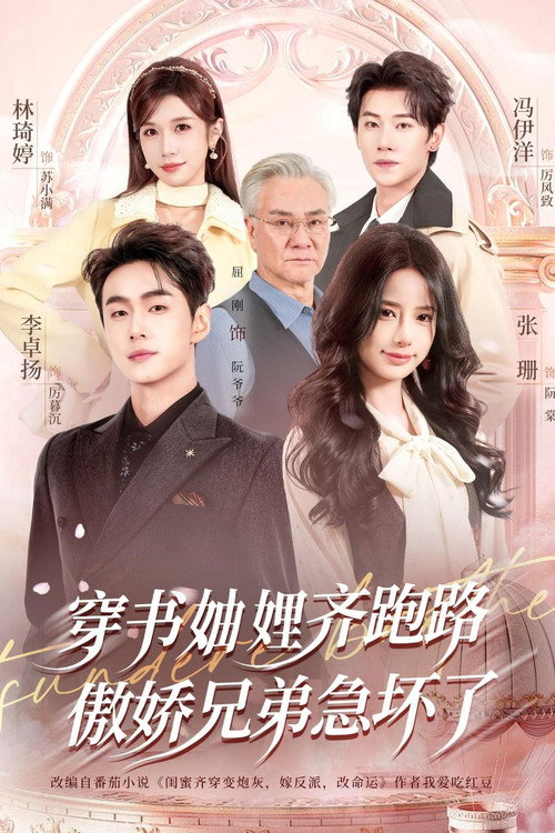穿书妯娌齐跑路,傲娇兄弟急坏了 poster