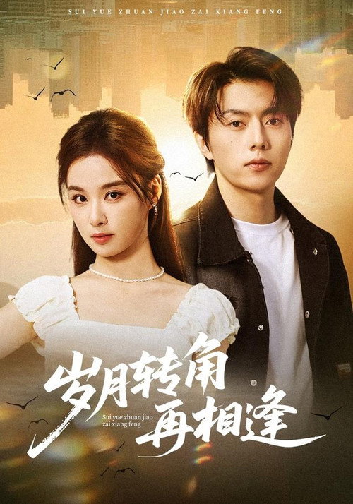岁月转角再相逢 poster