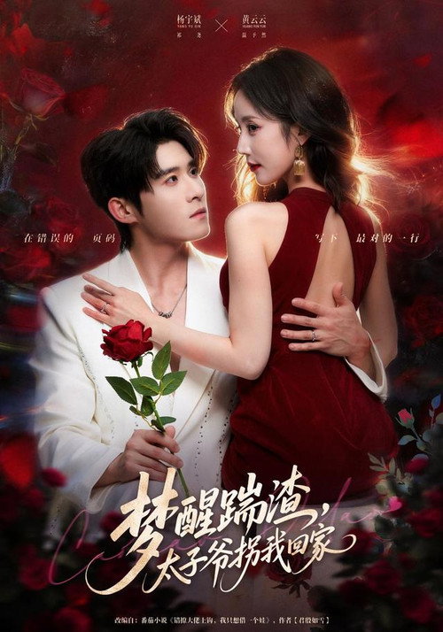 梦醒踹渣，太子爷拐我回家 poster