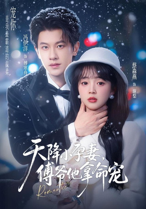 天降小孕妻,傅爷他拿命宠 poster