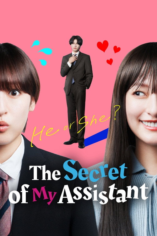 The Secret of My Assistant poster