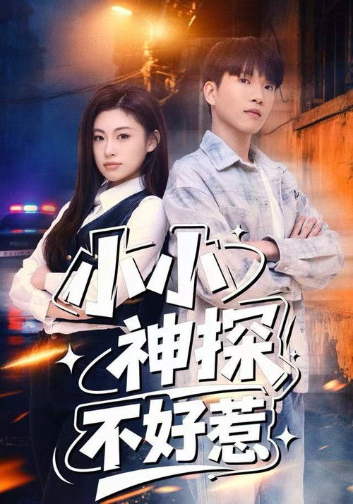 小小神探不好惹 poster