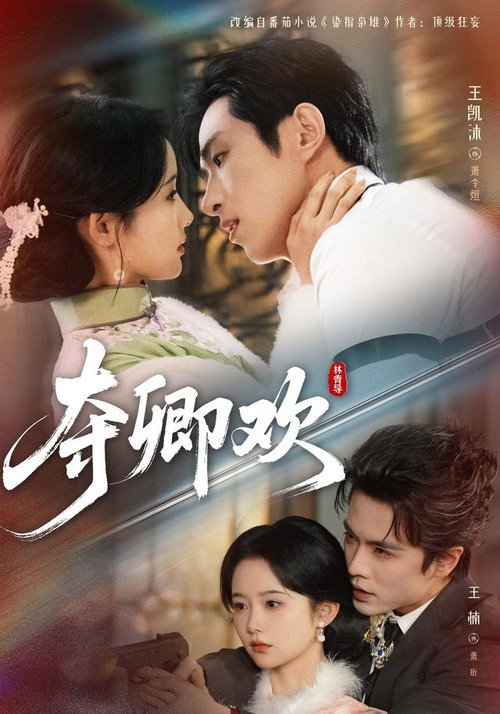 夺卿欢 poster