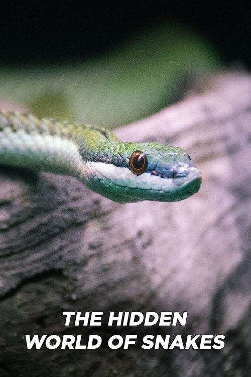 The Hidden World of Snakes poster