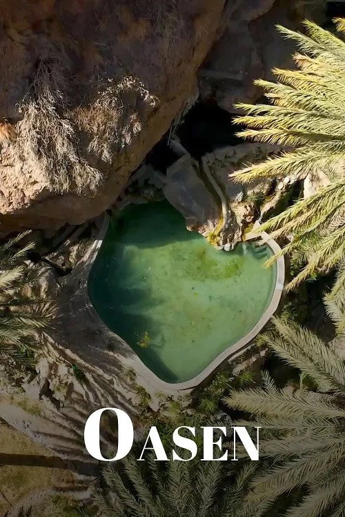 Oasen poster