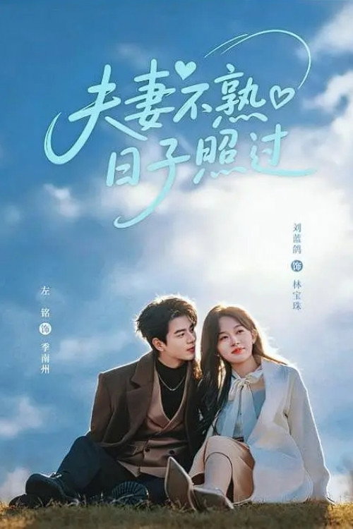 夫妻不熟,日子照过 poster