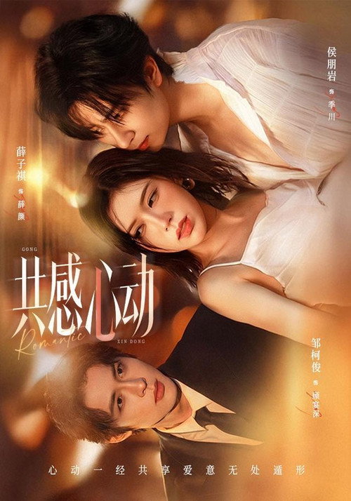 共感心动 poster