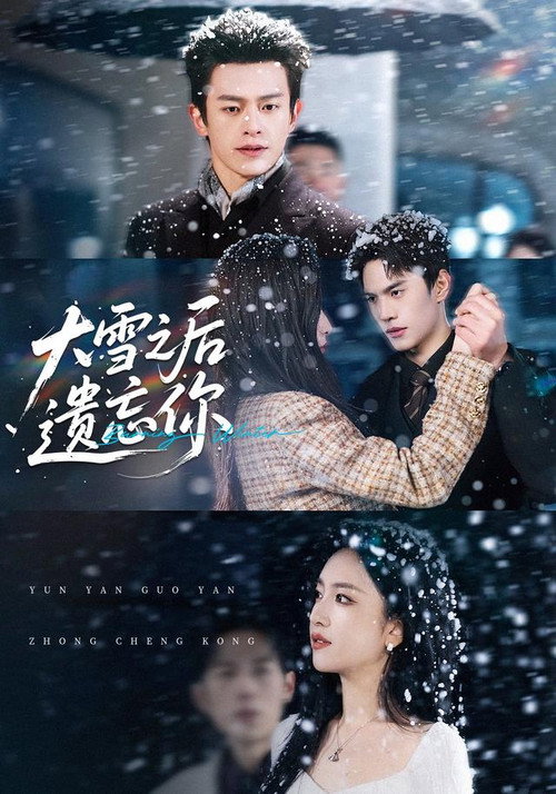 大雪之后遗忘你 poster