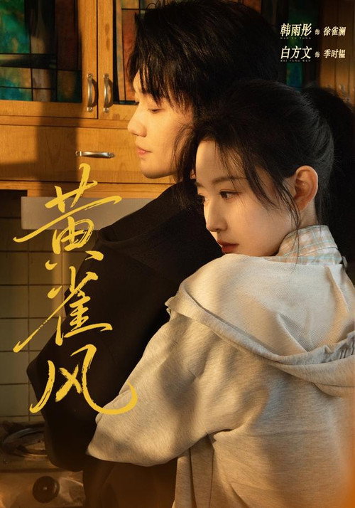 黄雀风 poster