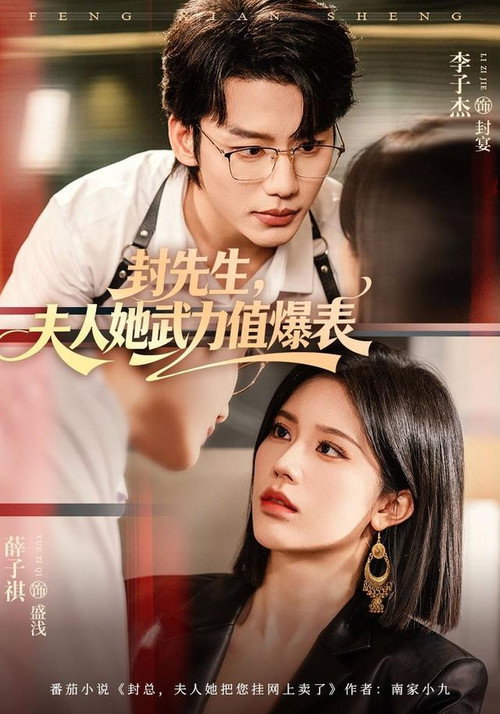 封先生,夫人她武力值爆表 poster