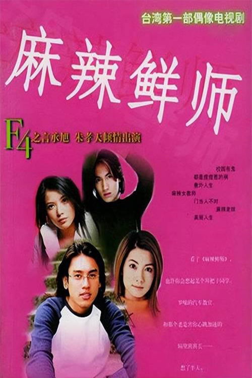 麻辣鲜师 poster