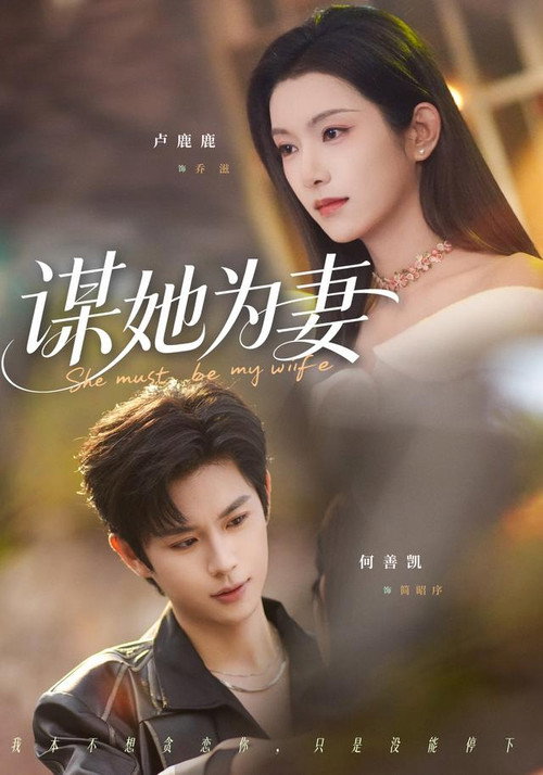 谋她为妻 poster
