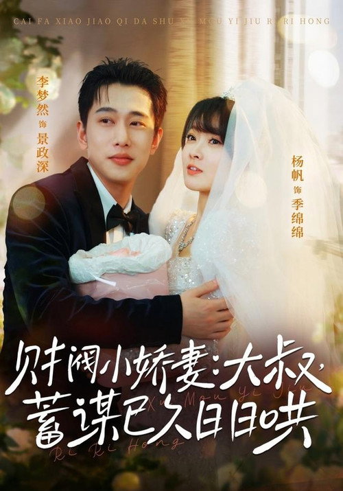 财阀小娇妻:大叔,蓄谋已久日日哄 poster
