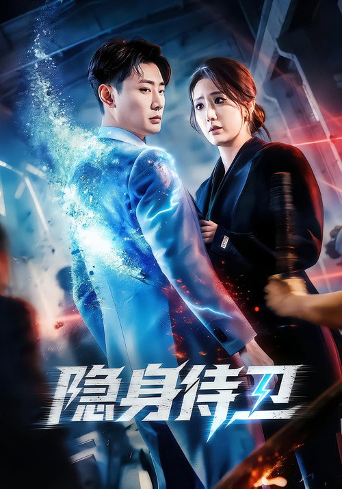 隐身侍卫 poster