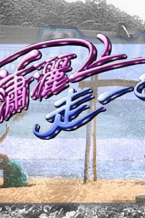 瀟灑走一回 poster