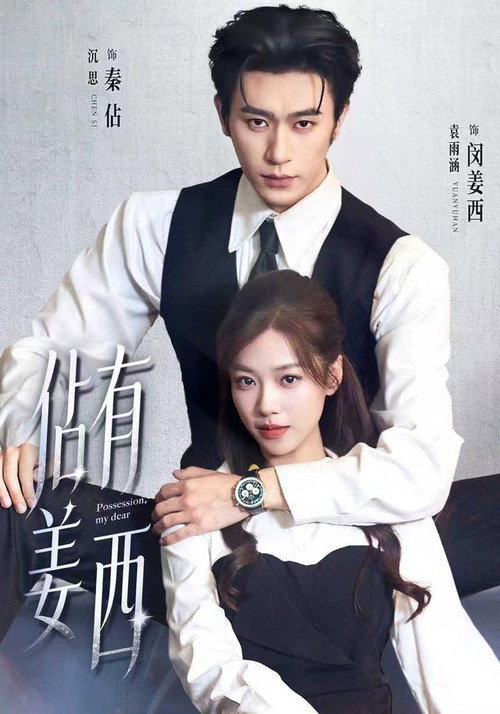 佔有姜西 poster