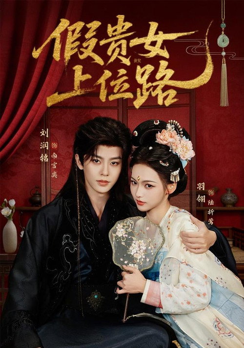 假贵女上位路 poster