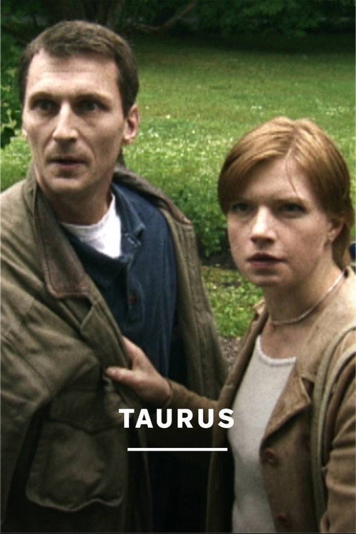 Taurus poster
