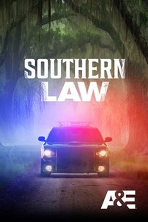 Southern Law poster