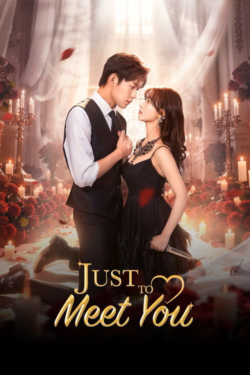Just to Meet You poster