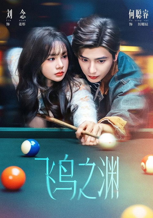 飞鸟之渊 poster