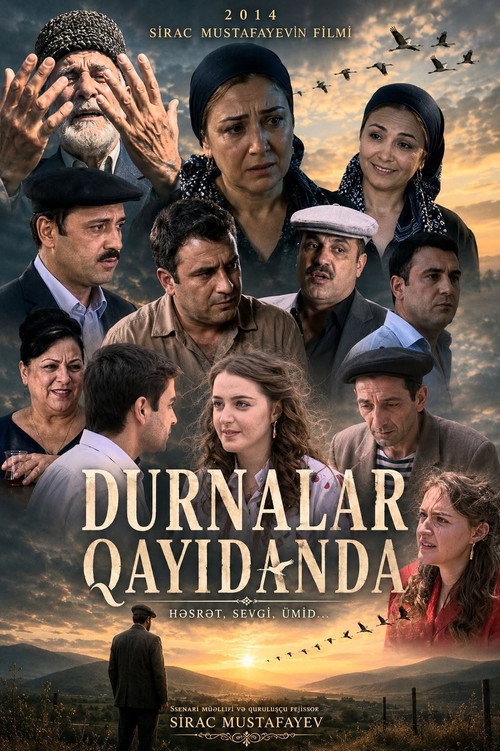 Durnalar qayıdanda poster